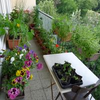 pravý balkon