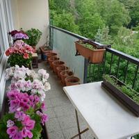 pravý balkon připraven na výsadbu rajčat
