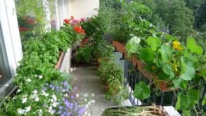 pravý balkon