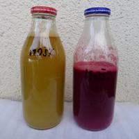 mošt ze slupek a jádřinců, červený s přídavkem řepy
