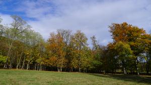 bývalé arboretum