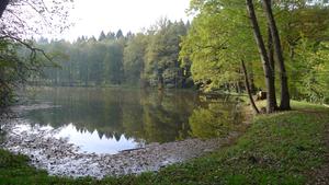 Utopenec