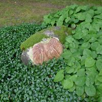 Meditativní zahrada - I. zastavení - Zvěstování - setkání s Andělem