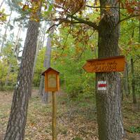 cesta na Makovou horu