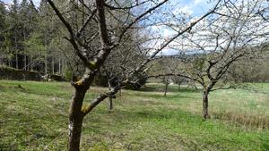 Mariánská - bývalý klášter