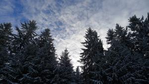 nebe nad Perninkem