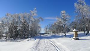u štoly Bílá Holubice