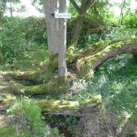 studánka Podhoří