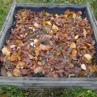 5.11.2025 připraveno na podzimní výsadbu česneku a výsev mrkve